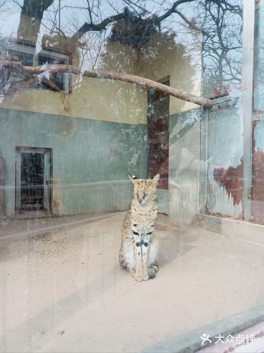 青岛动物园图片