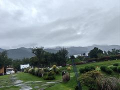-云禾壹海景庄园餐厅