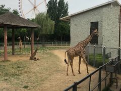 -石家庄市动物园