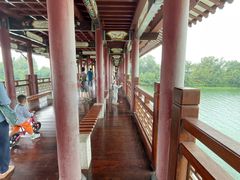 -白鹭洲书院
