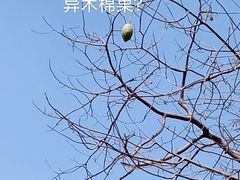 -广州市白云山风景名胜区
