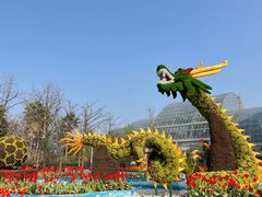-南山植物园