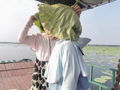 -微山湖红荷湿地景区