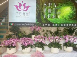 -阅年轻花园会所