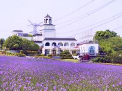 -紫颐香薰山谷景区