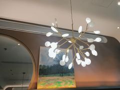 -佬肥猫(七宝宝龙店)