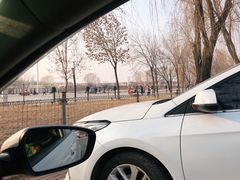 -白洋淀温泉城-停车场