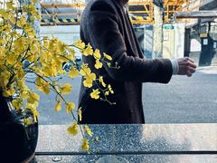 -Apollo·西班牙小酒馆(安福路店)