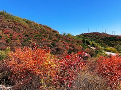 -北京西山国家森林公园