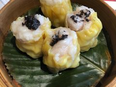 -点都德·毕德寮