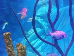 -沈阳海洋探索中心