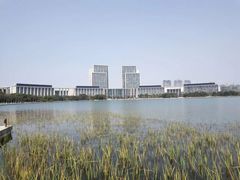 -尚贤河湿地