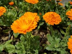 -河海大学(常州校区)