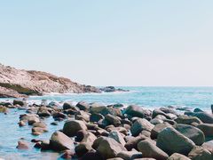 -广东惠东海龟国家级自然保护区