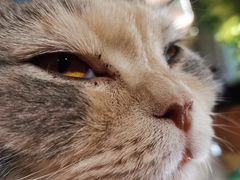 -藦茜花园宠物主题亲子互动体验馆(国顺东路店)