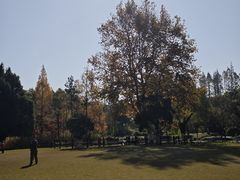 -瀛洲公园