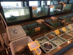 -光兴海鲜排档·小炒(莱利园店)