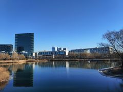 -大兴滨河森林公园