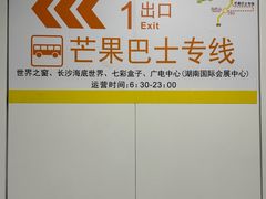 -马栏山(地铁站)