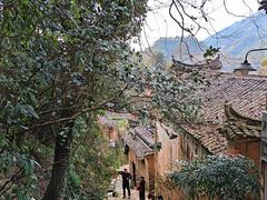 -杨家堂村