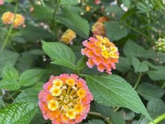-山城巷传统风貌区