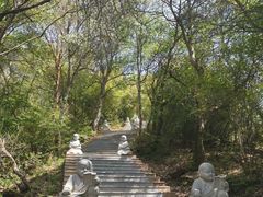 -云顶山风景区