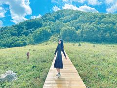 -白草畔自然风景区