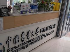 -中国农业大学动物医院