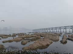 -黑石礁公园