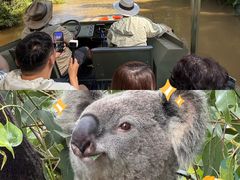 -热带雨林自然公园