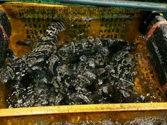 -海龙珠海鲜餐厅