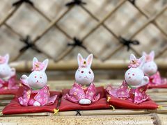 -白兔子密室(长寿路店)