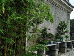 -荔湾湖公园