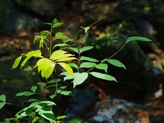 -飞霞风景名胜区