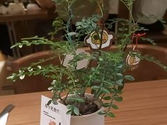 -CURRY YA 熟成咖哩專門店(深圳湾万象城店)