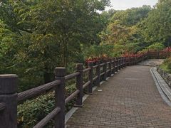 -四望岗公园