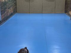 -都市枪神实弹射击俱乐部