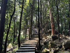 -火炉山森林公园