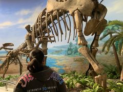 -延庆地质公园博物馆