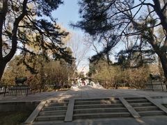 -北京动物园-畅观楼