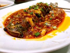 -文杏酒楼(一品天下店)