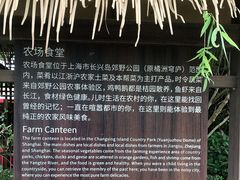 -长兴岛郊野公园农场食堂