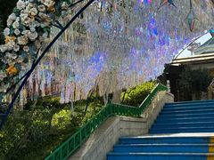 -青岛方特梦幻王国