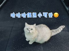 -M.S拳击泰拳馆(大学路店)