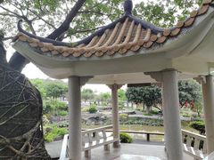 -广州莲花山旅游区
