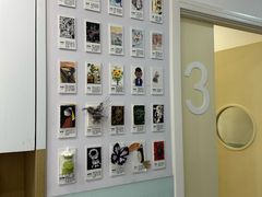 -蕃茄田艺术(悦荟广场中心)