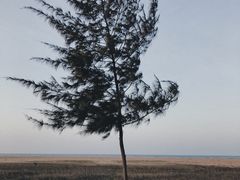 -白沙门生态公园