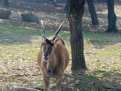 -西安秦岭野生动物园