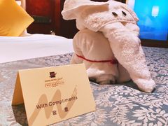 -常州环球恐龙城维景国际大酒店