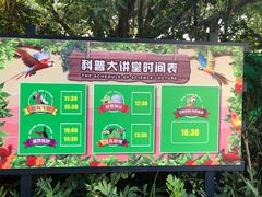 -广州长隆飞鸟乐园